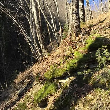 Apartman Casa Con Vista