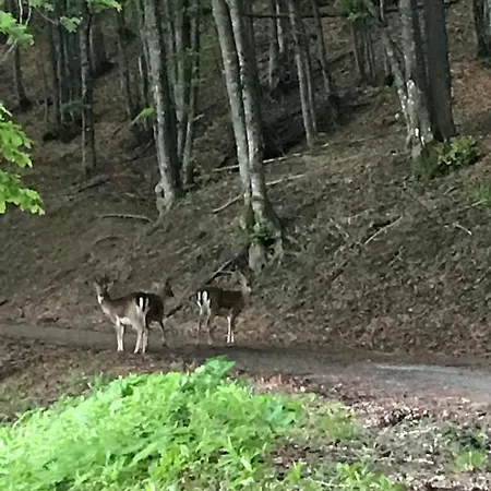 Apartman Casa Con Vista