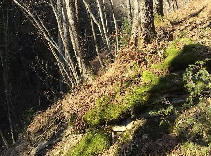 Apartamento Casa Con Vista