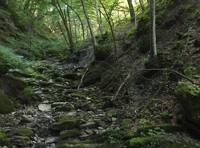 Apartamento Casa Con Vista