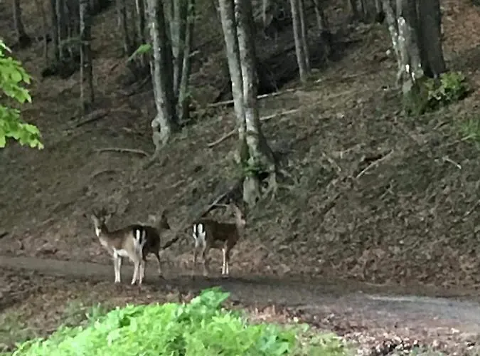 Apartamento Casa Con Vista