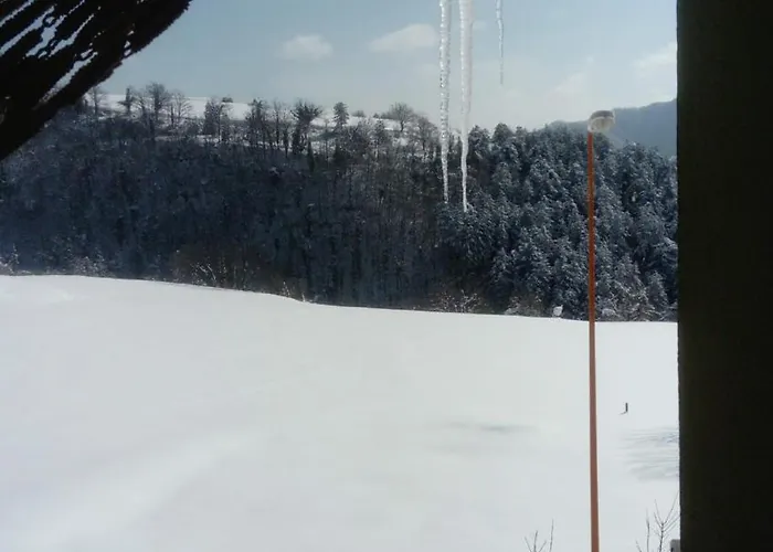 Lejlighed Casa Con Vista